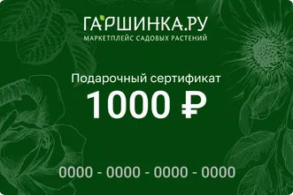 Подарочный сертификат интернет-магазина «Гаршинка.ру» номиналом 1000 рублей