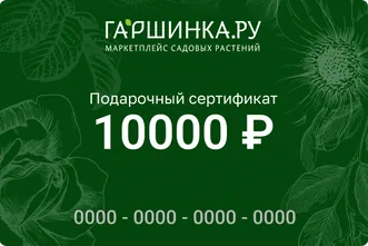 Подарочный сертификат интернет-магазина «Гаршинка.ру» номиналом 10000 рублей