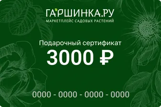 Подарочный сертификат интернет-магазина «Гаршинка.ру» номиналом 3000 рублей