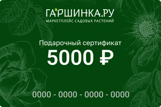 Подарочный сертификат интернет-магазина «Гаршинка.ру» номиналом 5000 рублей