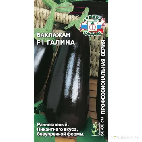 Баклажан Галина F1  0,1 г, Семена Седек