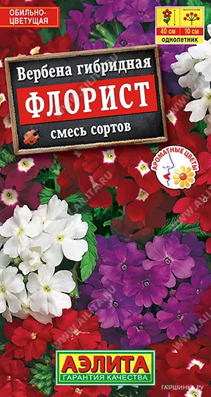 Вербена Флорист 0,1гр ЦП