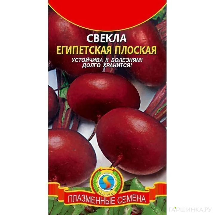 Свекла Египетская плоская ц.п. 2,5 гр