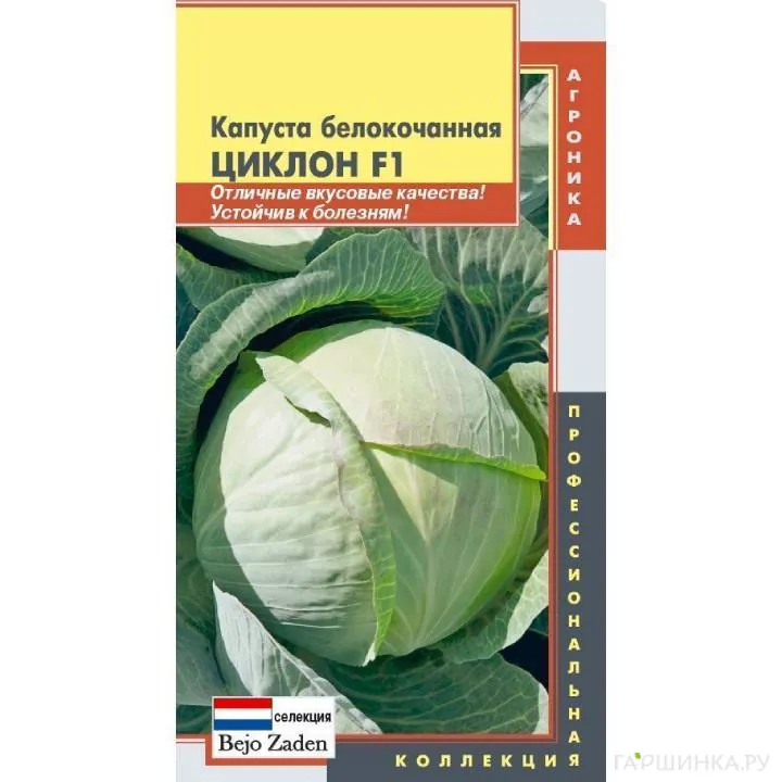 Капуста Циклон белокочанная ц/п Семена Плазмас