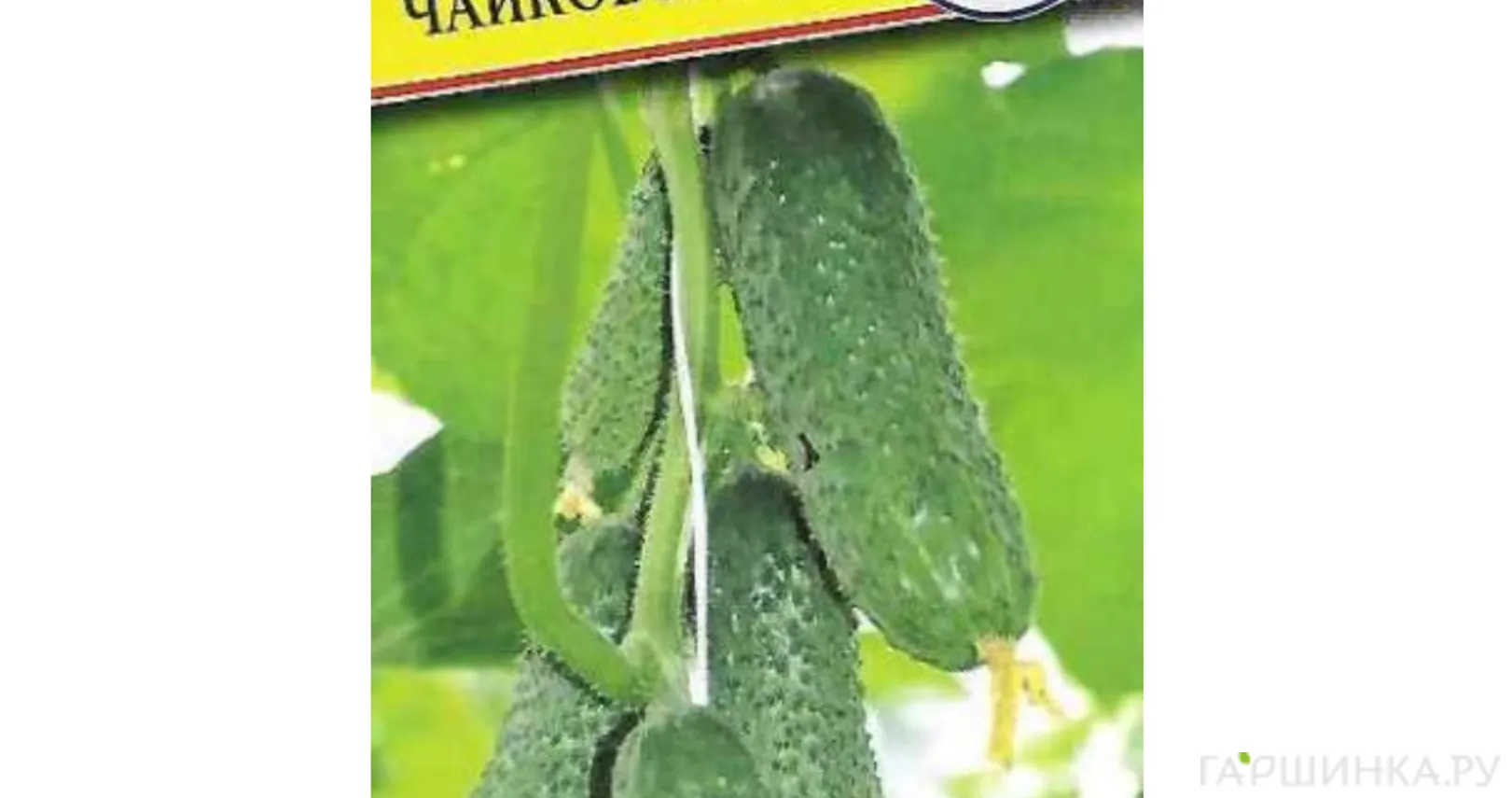 Огурец Чайковский F1 5 шт, Семена Престиж