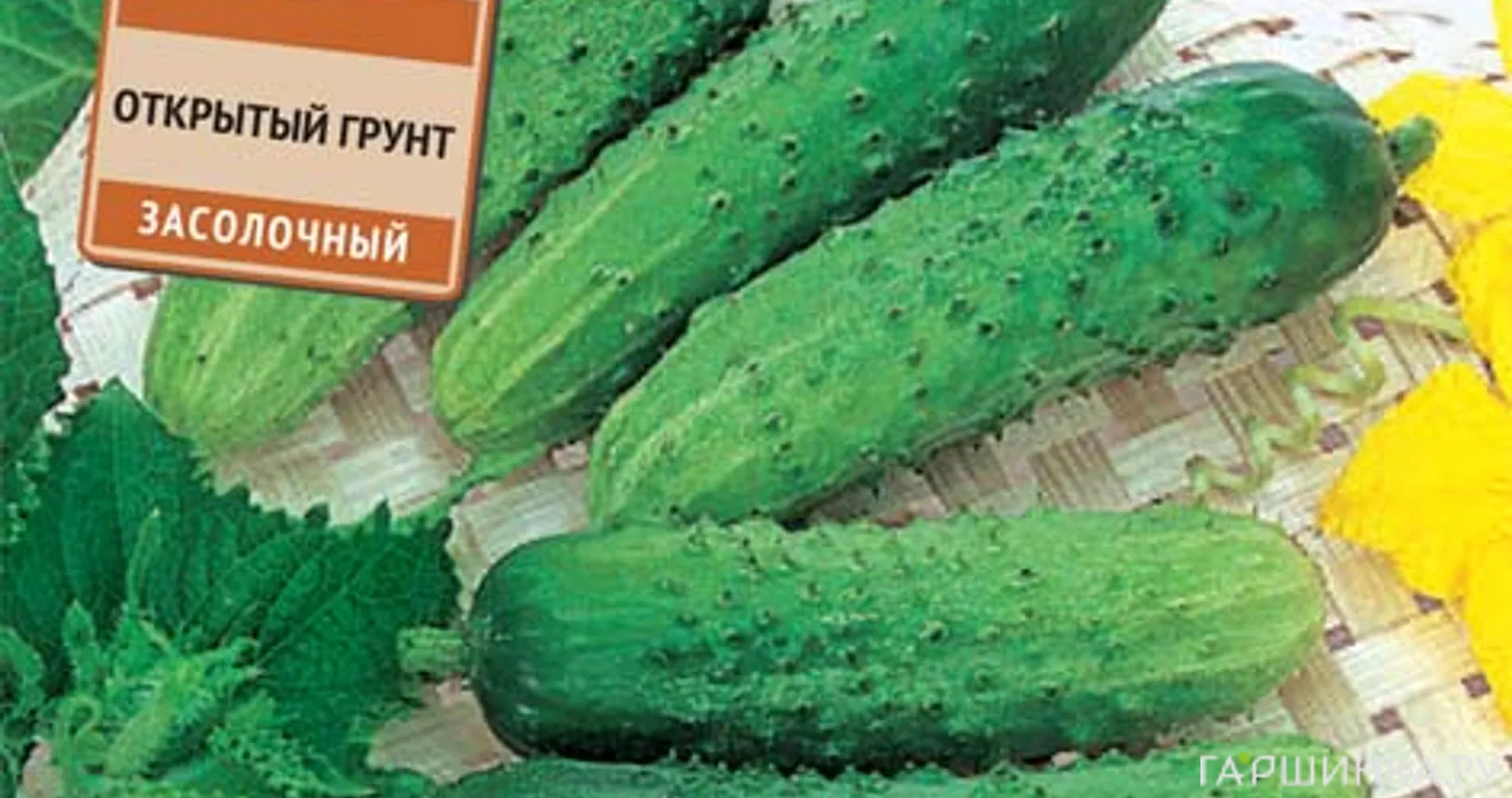 Огурец Газель F1 (А) 12, Семена Поиск