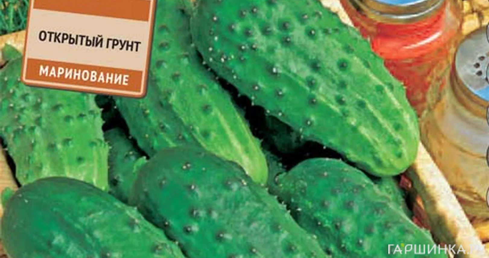 Огурец Диана F1 (А) 12, Семена Поиск