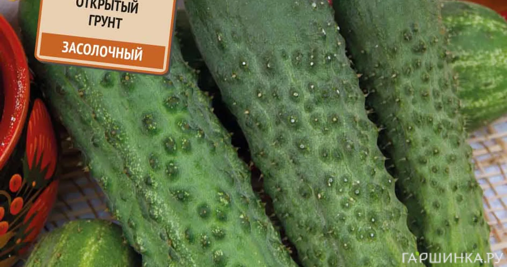 Огурец Королевский F1 (А) 12, Семена Поиск