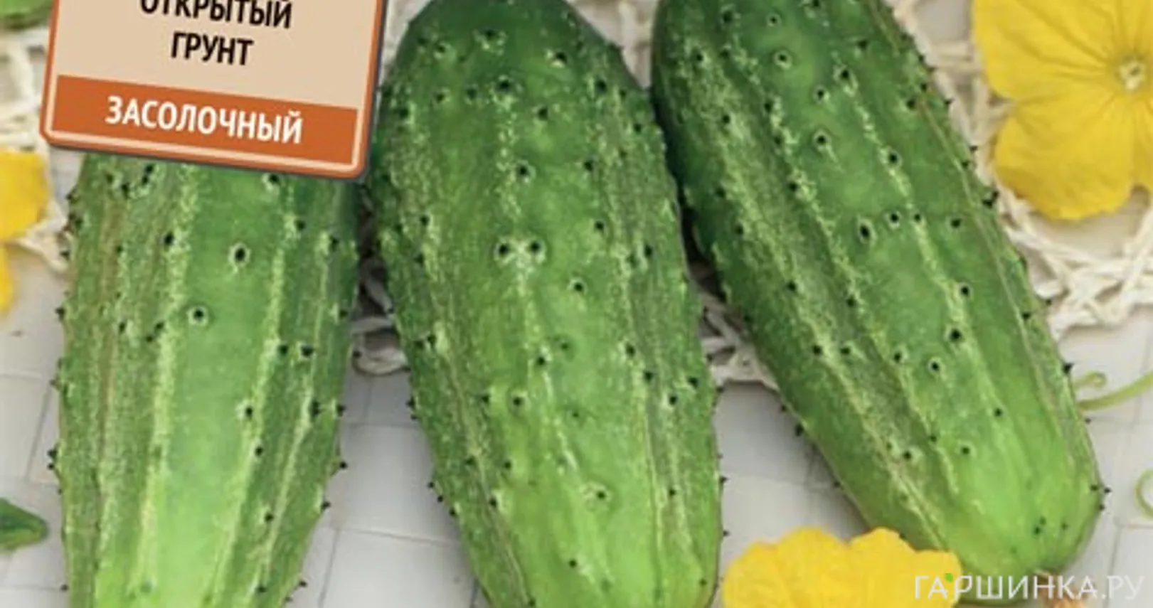 Огурец Нежинский 15 шт, Семена Поиск