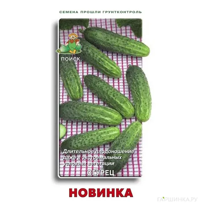 Огурец Новинка 15, Семена Поиск