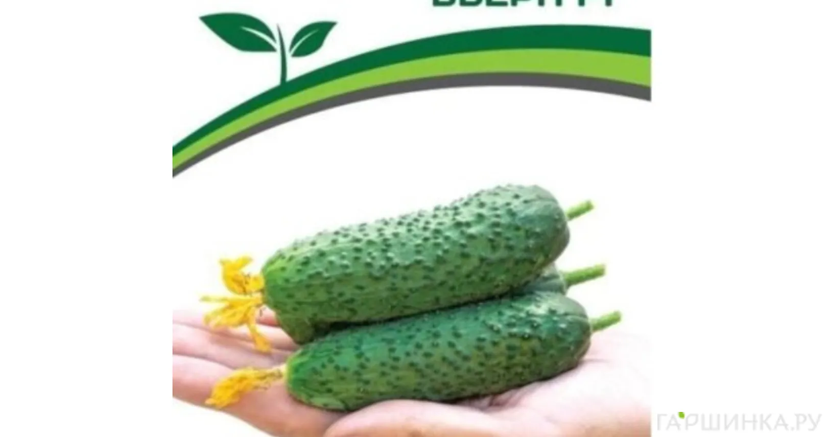 Огурец Бьерн F1 партенокарпический 5 шт. Семена Партнер