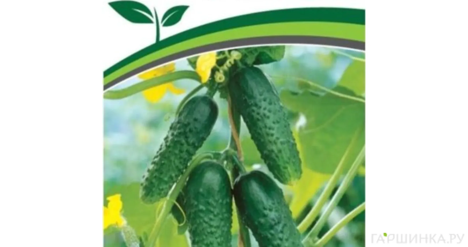 Огурец Платоша F1 5 шт. Семена Партнер