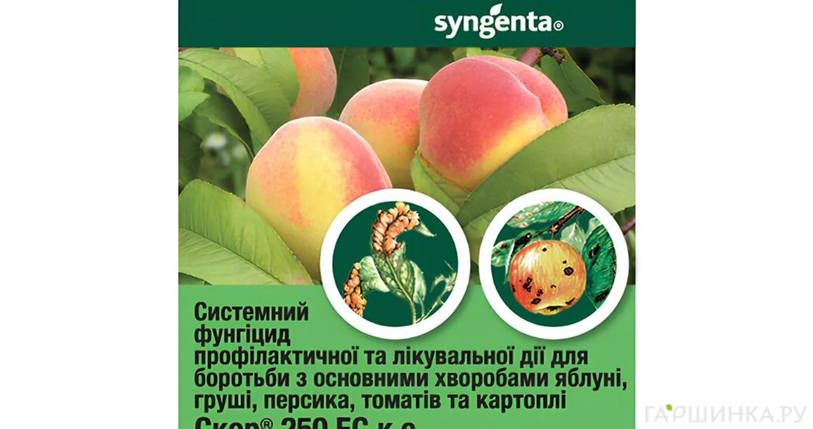 Скор (от парши на плодовых) ВХ