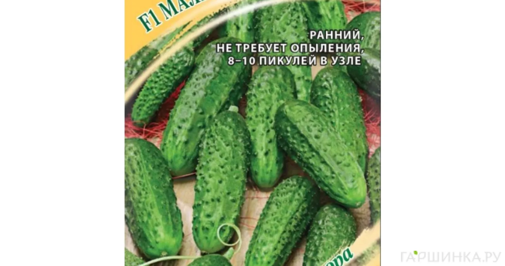 Огурец Малышок-крепышок F1 10 шт корнишон автор, Семена Гавриш