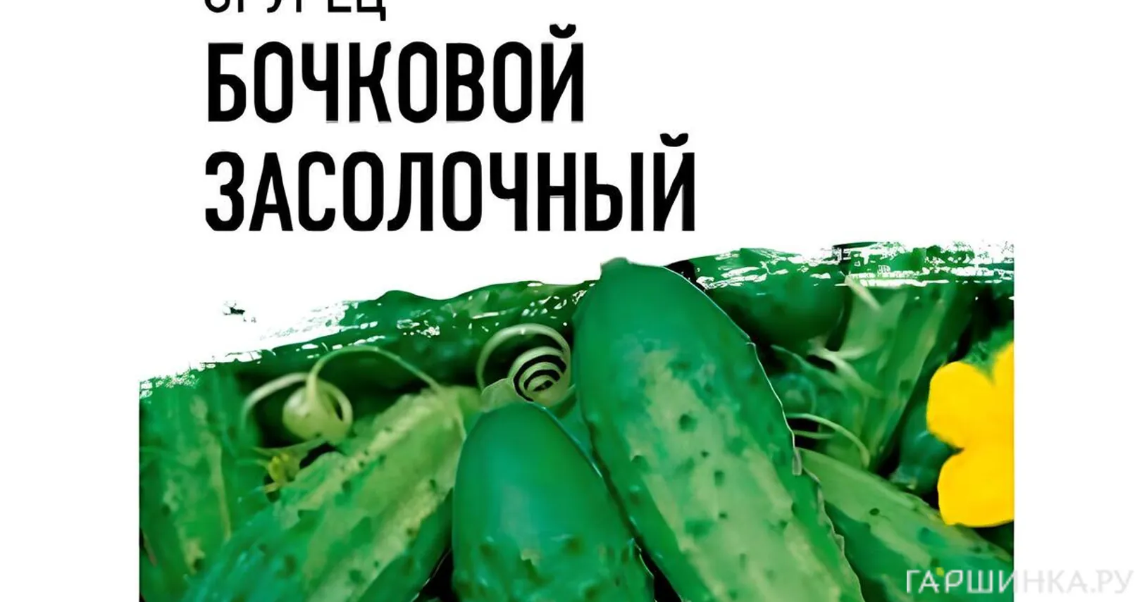 Огурец Бочковой засолочный F1 0,3 г, Семена Гавриш