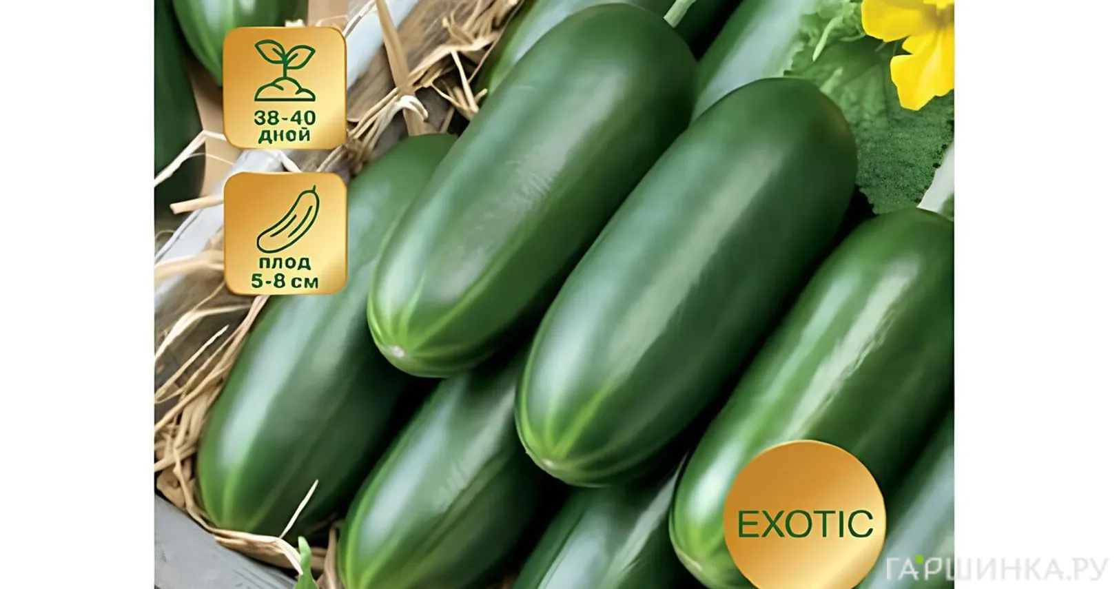 Огурец Мини 65 F1 ц/п  3 шт, Семена Семко