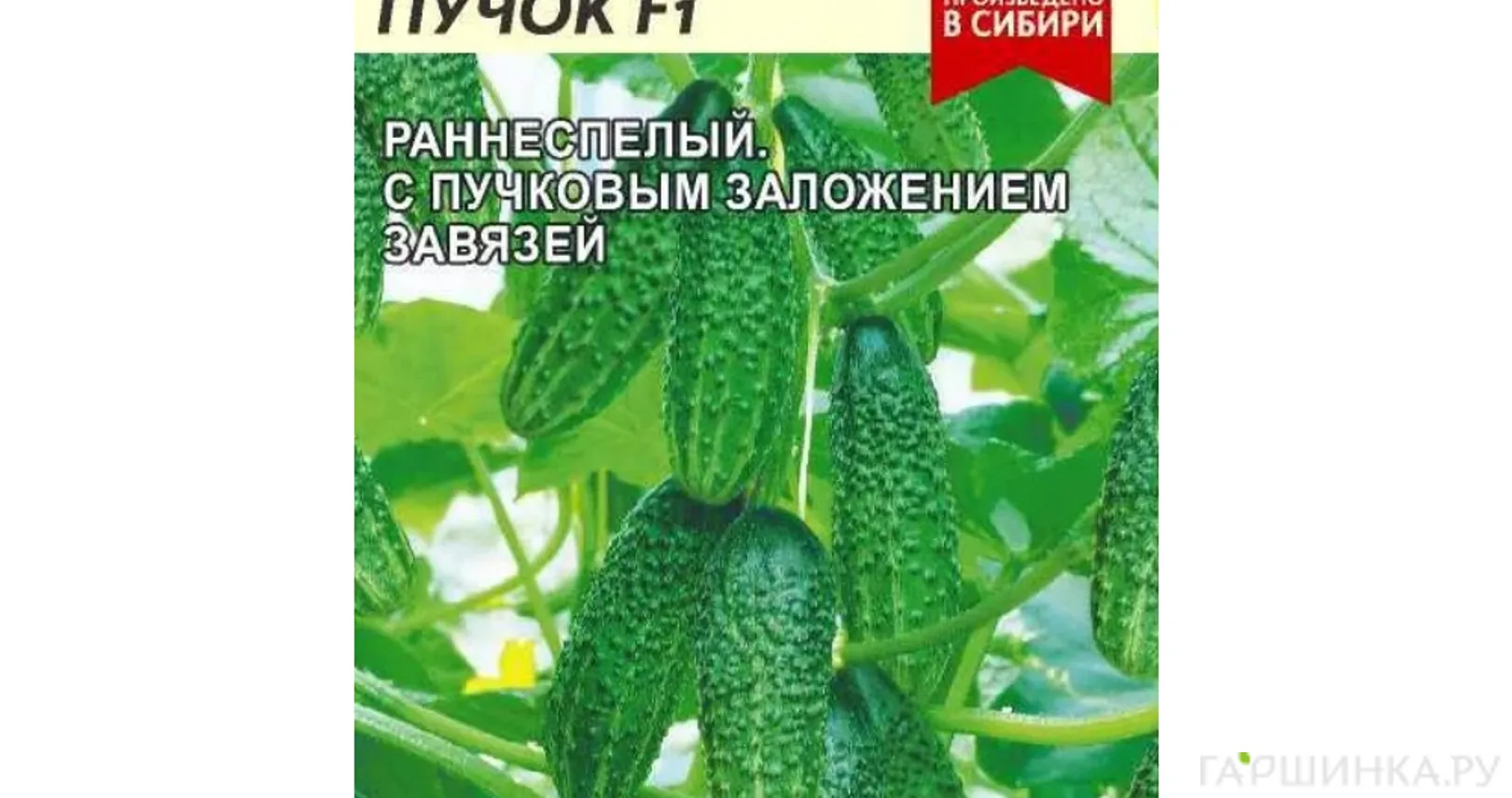 Огурец Хрустящий Пучок F1 ц/п 6 шт, Семена Алтая