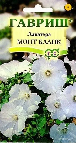 Лаватера Монт Бланк 0,5 г