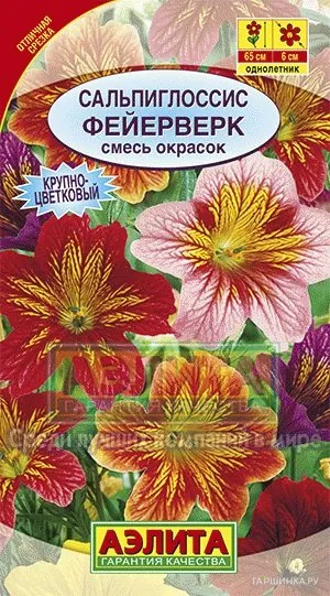 Сальпиглоссис Фейерверк, смесь окрасок