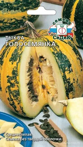 Тыква Голосемянка