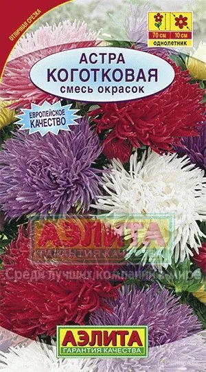 Астра Коготковая, смесь окрасок ц/п