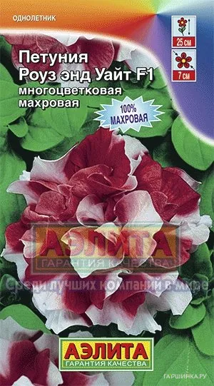 Петуния Роуз энд Уайт F1 многоцветковая махровая