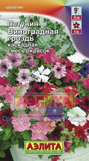 Петуния Виноградная гроздь каскадная, смесь окрасок