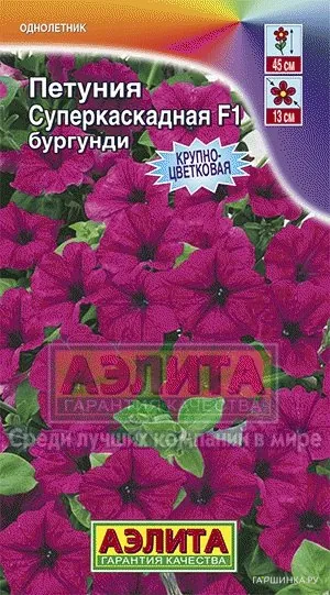 Петуния суперкаскадная бургунди F1