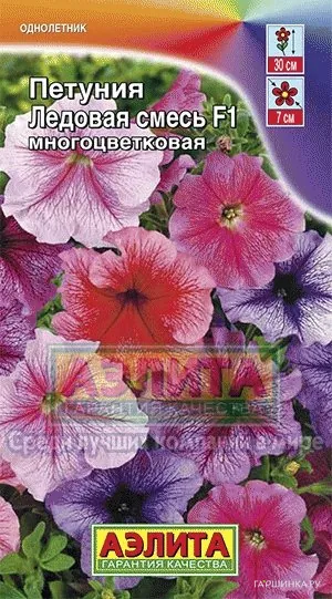 Петуния Ледовая смесь F1 многоцветковая