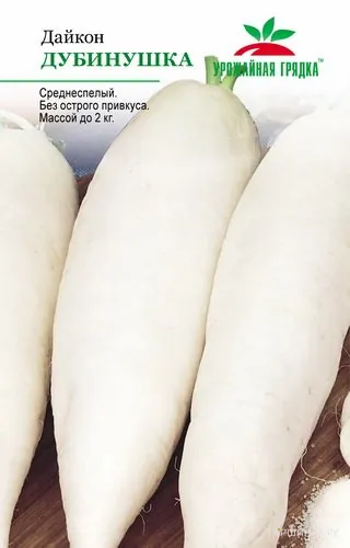 Дайкон Дубинушка (МФ, 1, 1989)