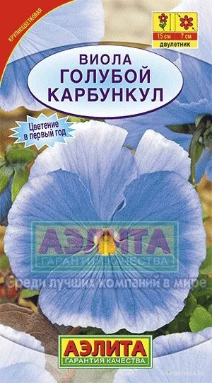 Виола Голубой карбункул