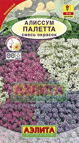 Алиссум Палетта, смесь окрасок