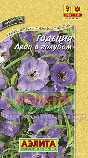 Годеция Леди в голубом ц/п