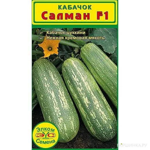 Кабачок Салман F1 (5 сем.)