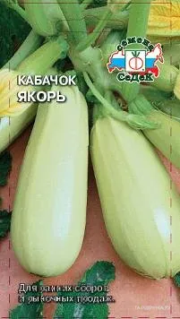 Кабачок Якорь 2г