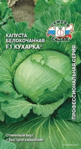 Капуста Кухарка белокочанная