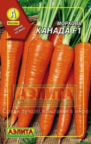 Морковь Канада F1
