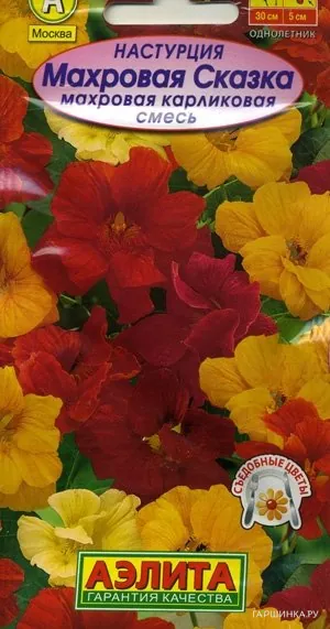 Настурция махровая карликовая Махровая сказка, смесь окрасок