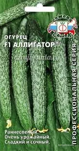 Огурец Аллигатор F1 0.2г
