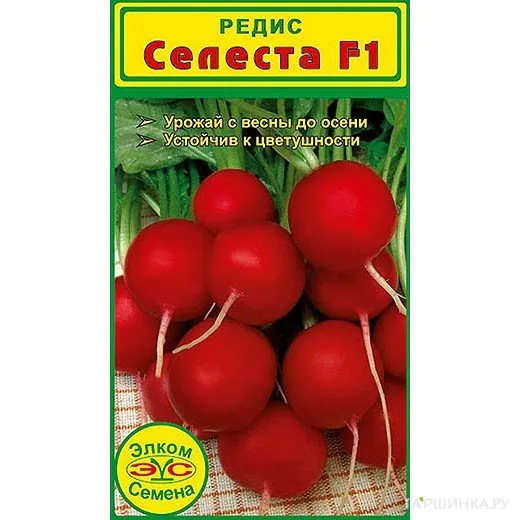 Редис всесезонный Селеста F1 (1 гр.)