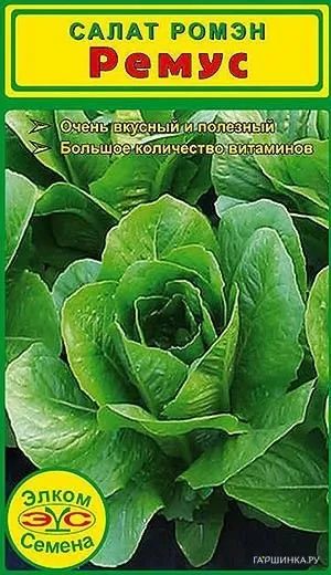 Салат Ремус (10 држ.)