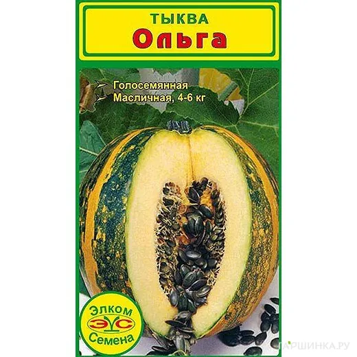Тыква голосемянная Ольга (5 сем.)