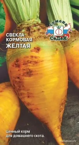 Свекла Кормовая Жёлтая