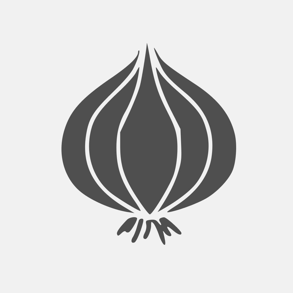 1 шт луковицы 2 разбор (цветение в год посадки)