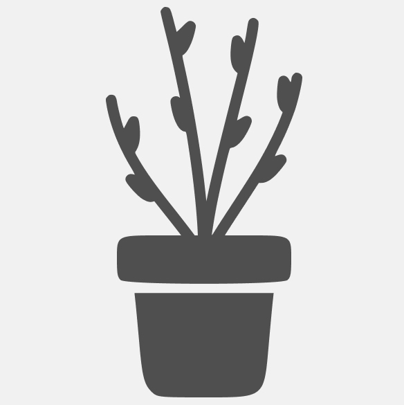 саженец (горшок 9 см)