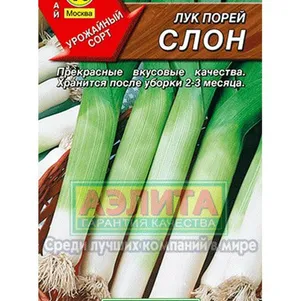 

Лук Порей Слон 1 г, Семена Аэлита