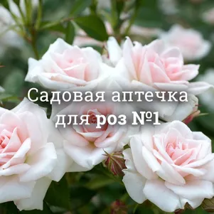 

Аптечка для роз №1