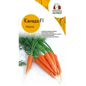 

Морковь Канада F1 0,5г, Семена Нетипичный Фермер