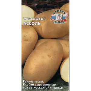 Картофель Ассоль 002 г Семена Седек 41₽