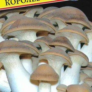 Вешенка королевская 12палочек Семена Престиж 120₽